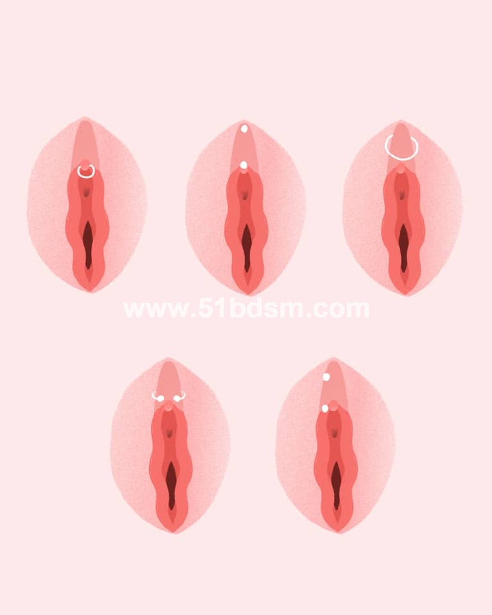 Image of different types of clit piercings.